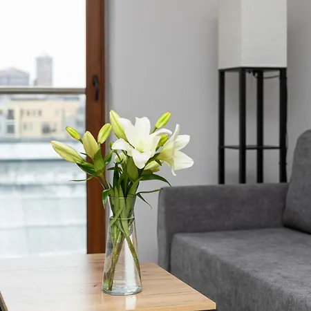 Native Barska 13 Appartamento *