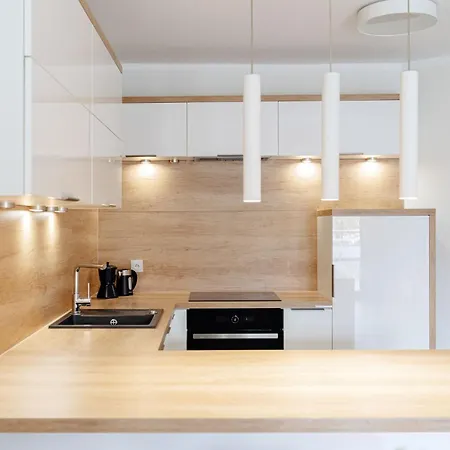 Native Barska 13 Apartment Krakow